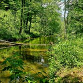 Review photo of Lover's Leap Campground — Natural Tunnel State Park by Katrin M., June 4, 2023