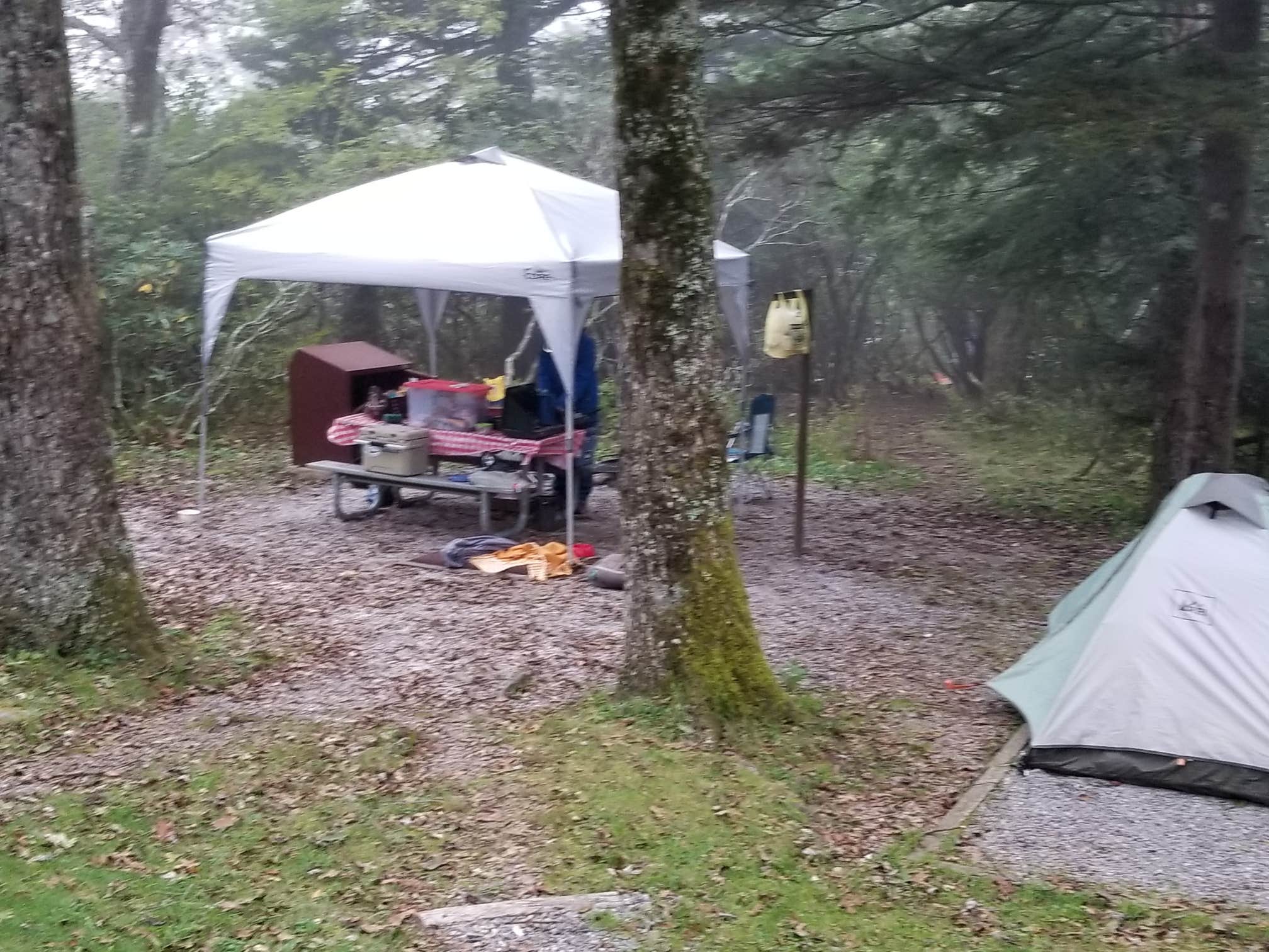 Katrin M.'s photo at Mount Pisgah Campground near Mills River, NC