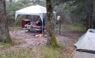 Katrin M.'s photo at Mount Pisgah Campground near Candler, NC