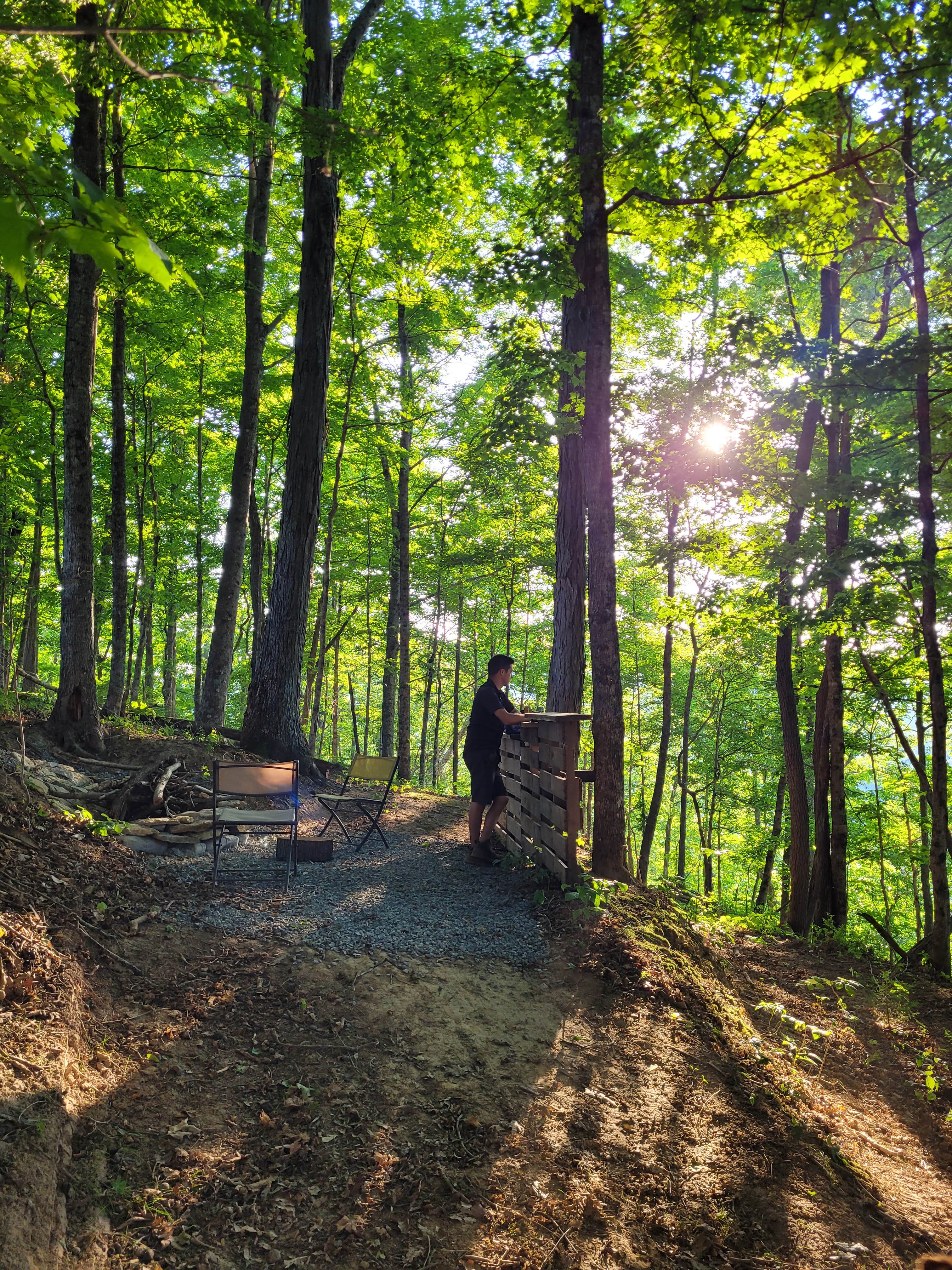 Camper-submitted photo at The Farmers Forest near Rutledge, TN
