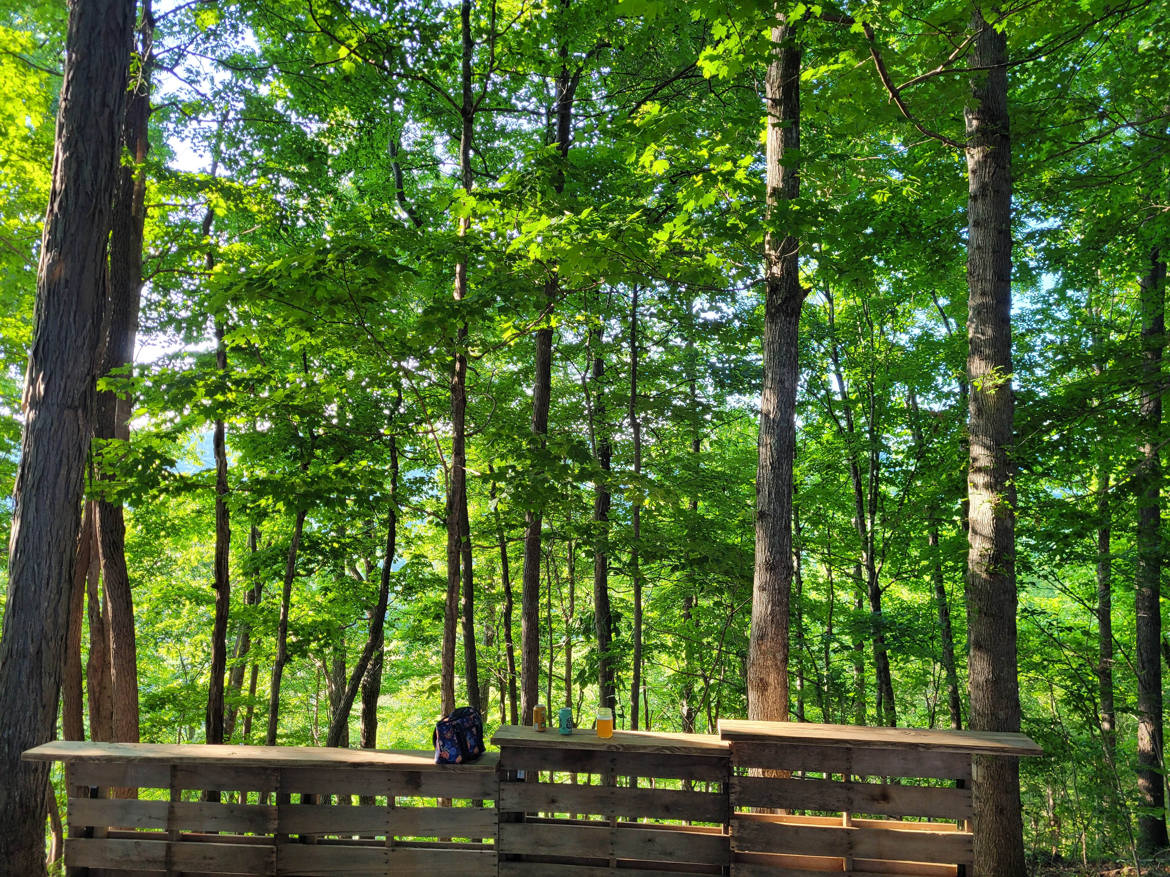 Camper-submitted photo at The Farmers Forest near Rutledge, TN