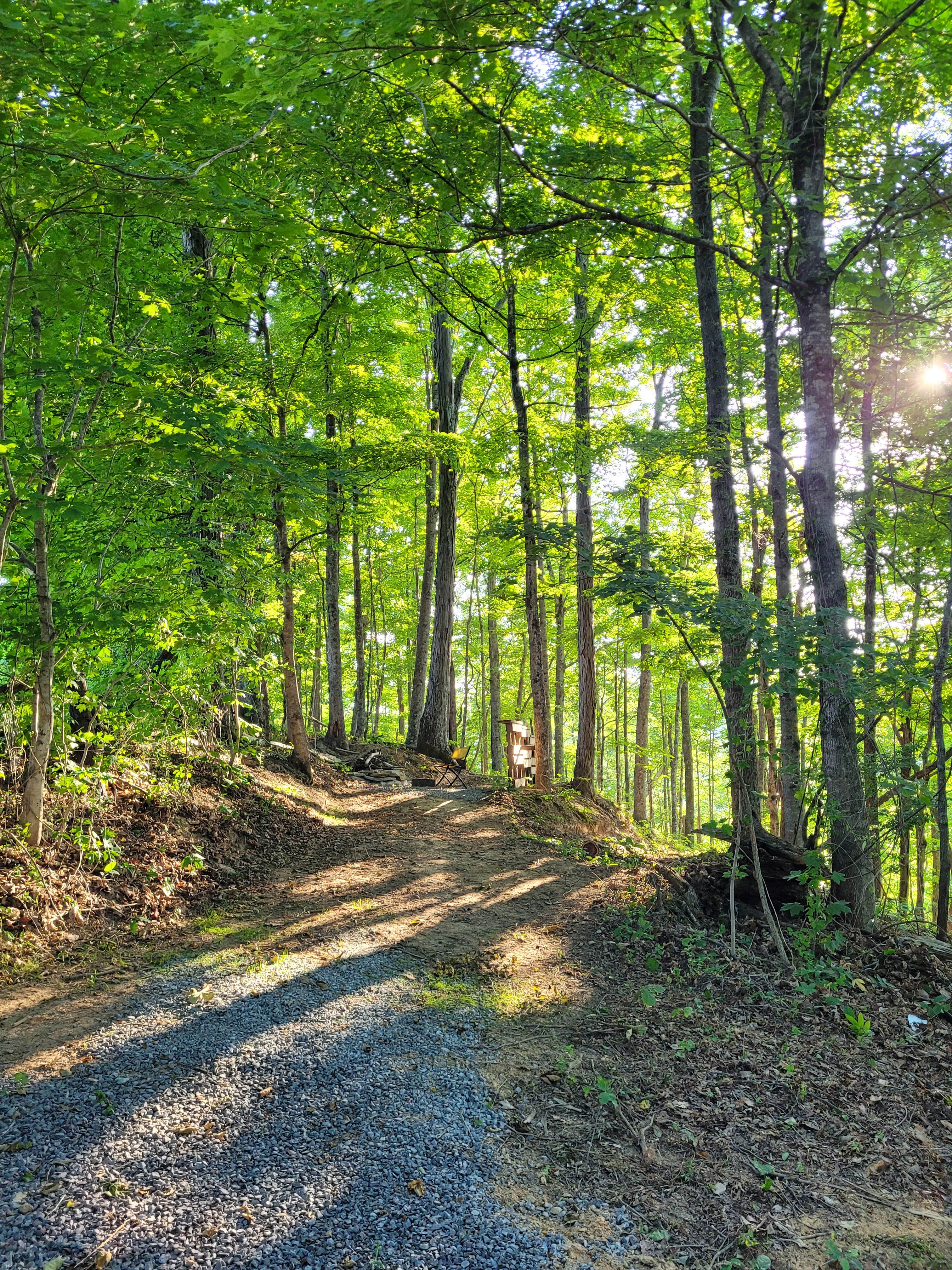 Camper-submitted photo at The Farmers Forest near Rutledge, TN