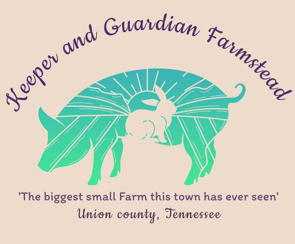 Camper-submitted photo at The Farmers Forest near Rutledge, TN