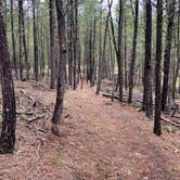 Review photo of Custer Crazy Horse Campground by holly C., June 4, 2023