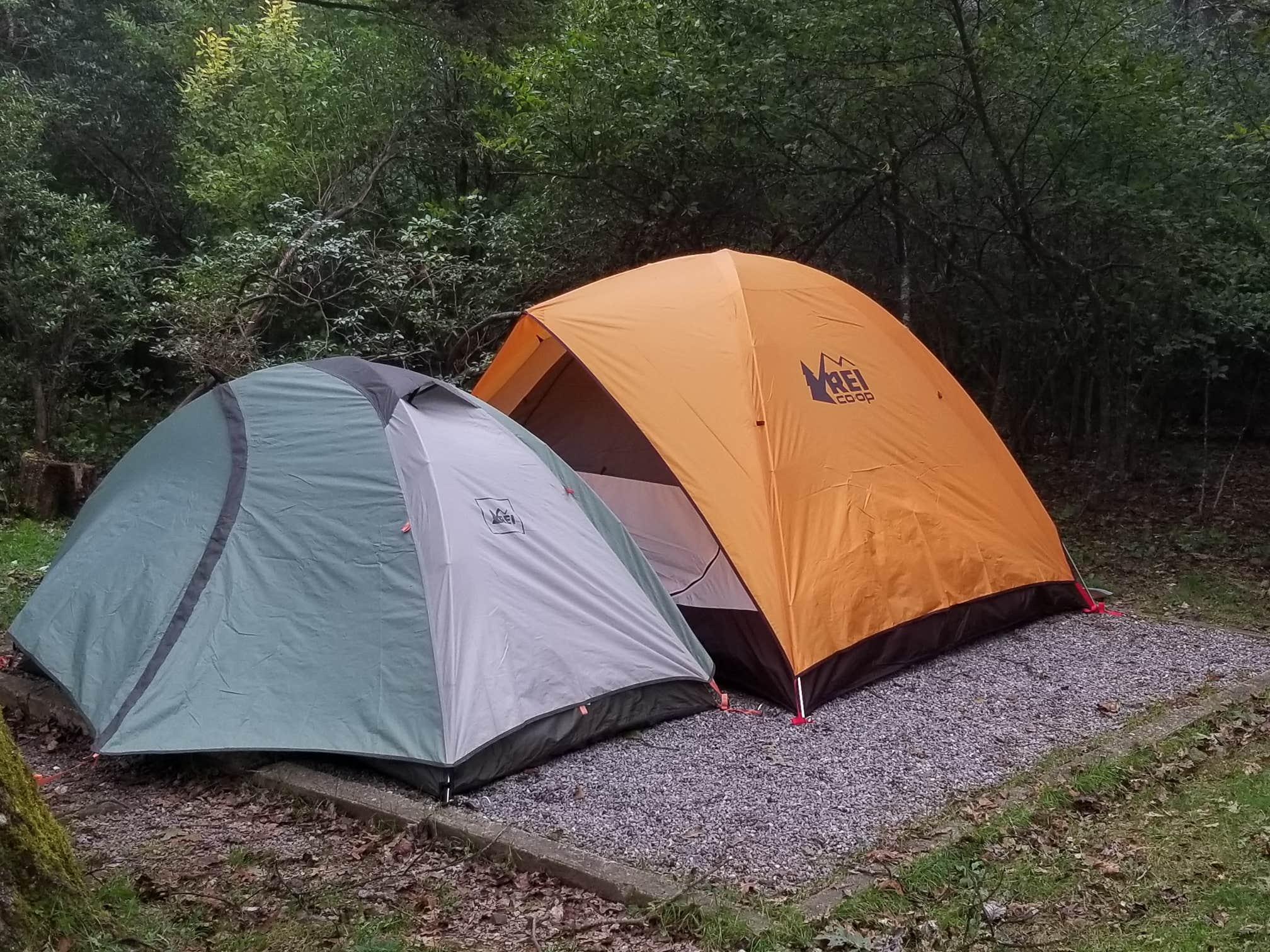 Katrin M.'s photo at Mount Pisgah Campground near Candler, NC