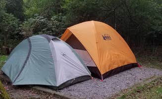 Katrin M.'s photo at Mount Pisgah Campground near Candler, NC