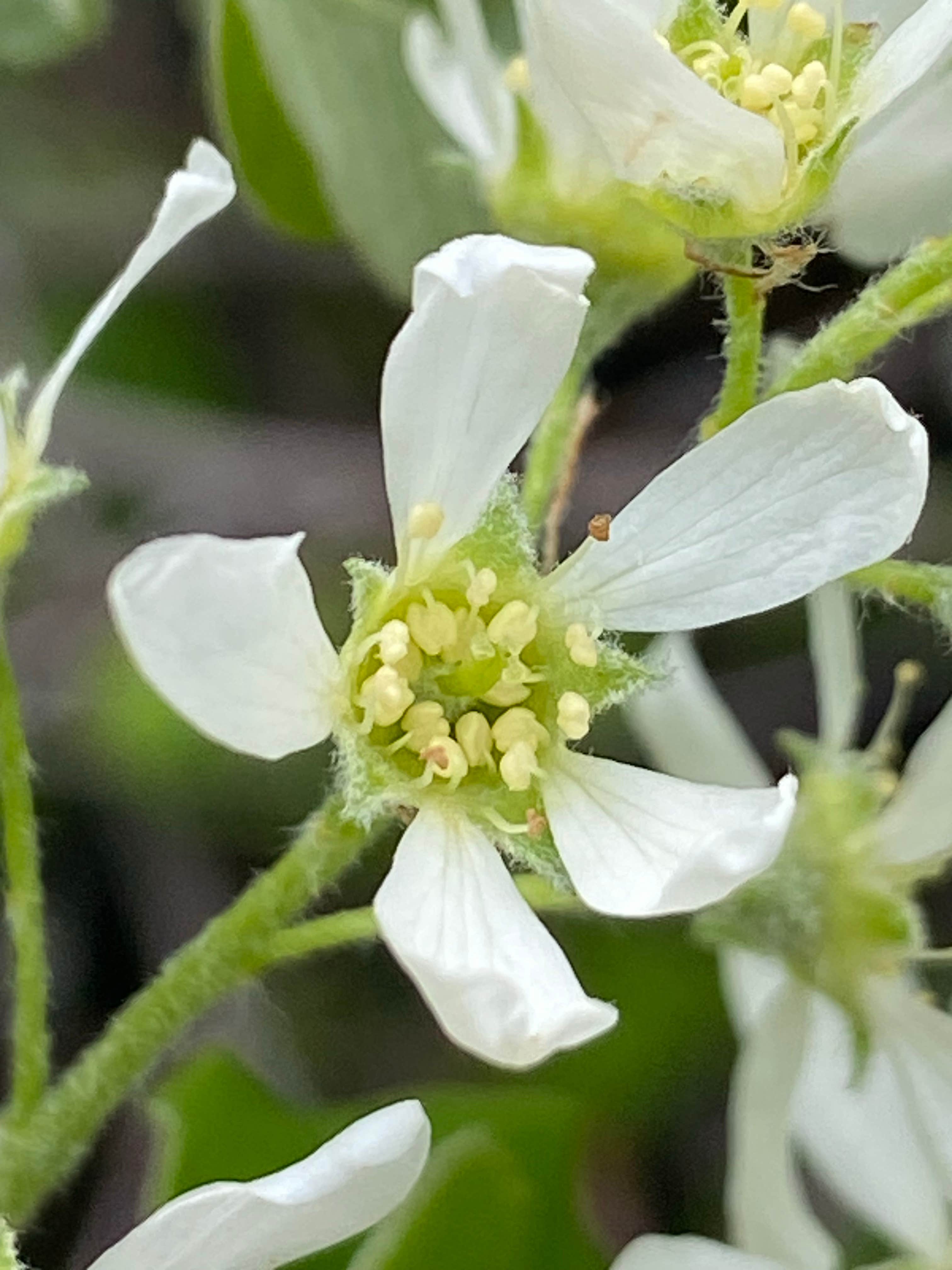 Camper-submitted photo at Custer Crazy Horse Campground & Cabin 13 Coffee Shop near Wind Cave National Park