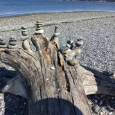 Review photo of Birch Bay State Park Campground by Marisa N., October 15, 2018