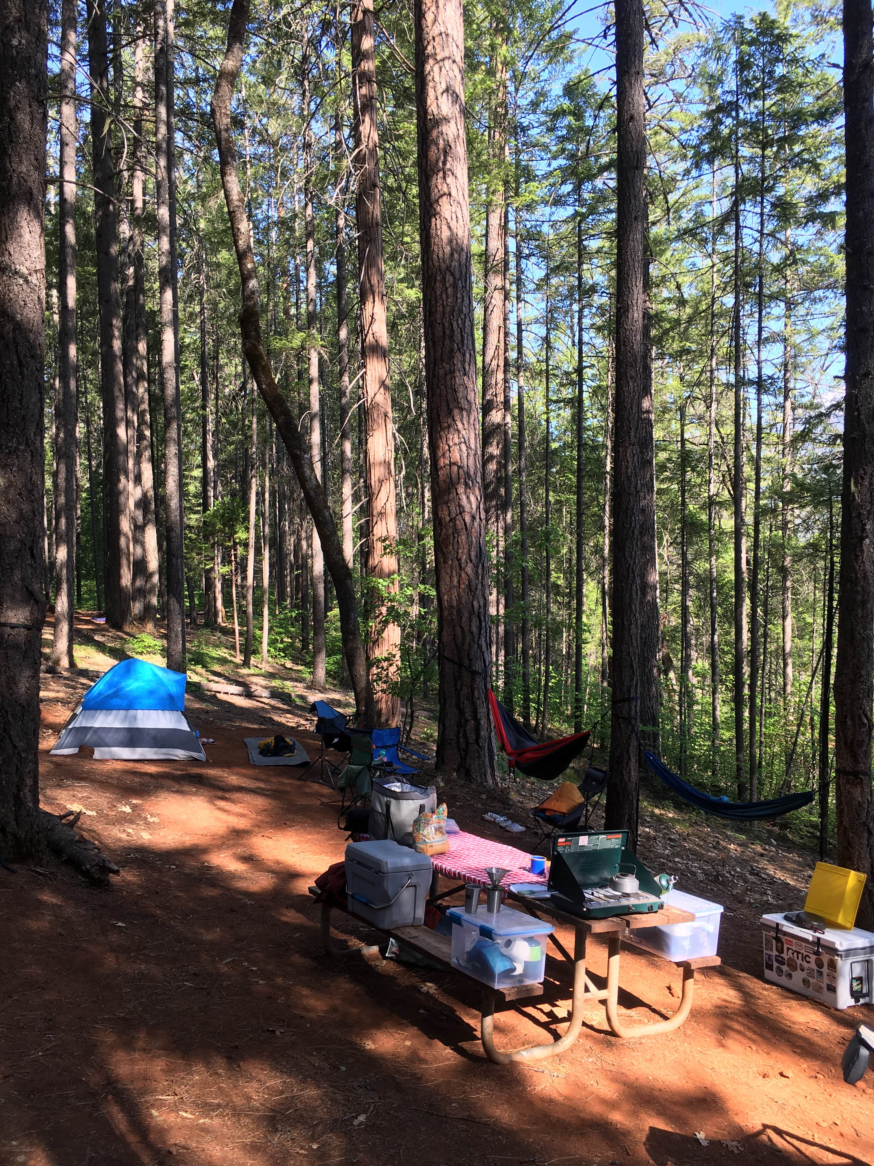 Dan G.'s photo at Tannery Gulch Campground near French Gulch, CA
