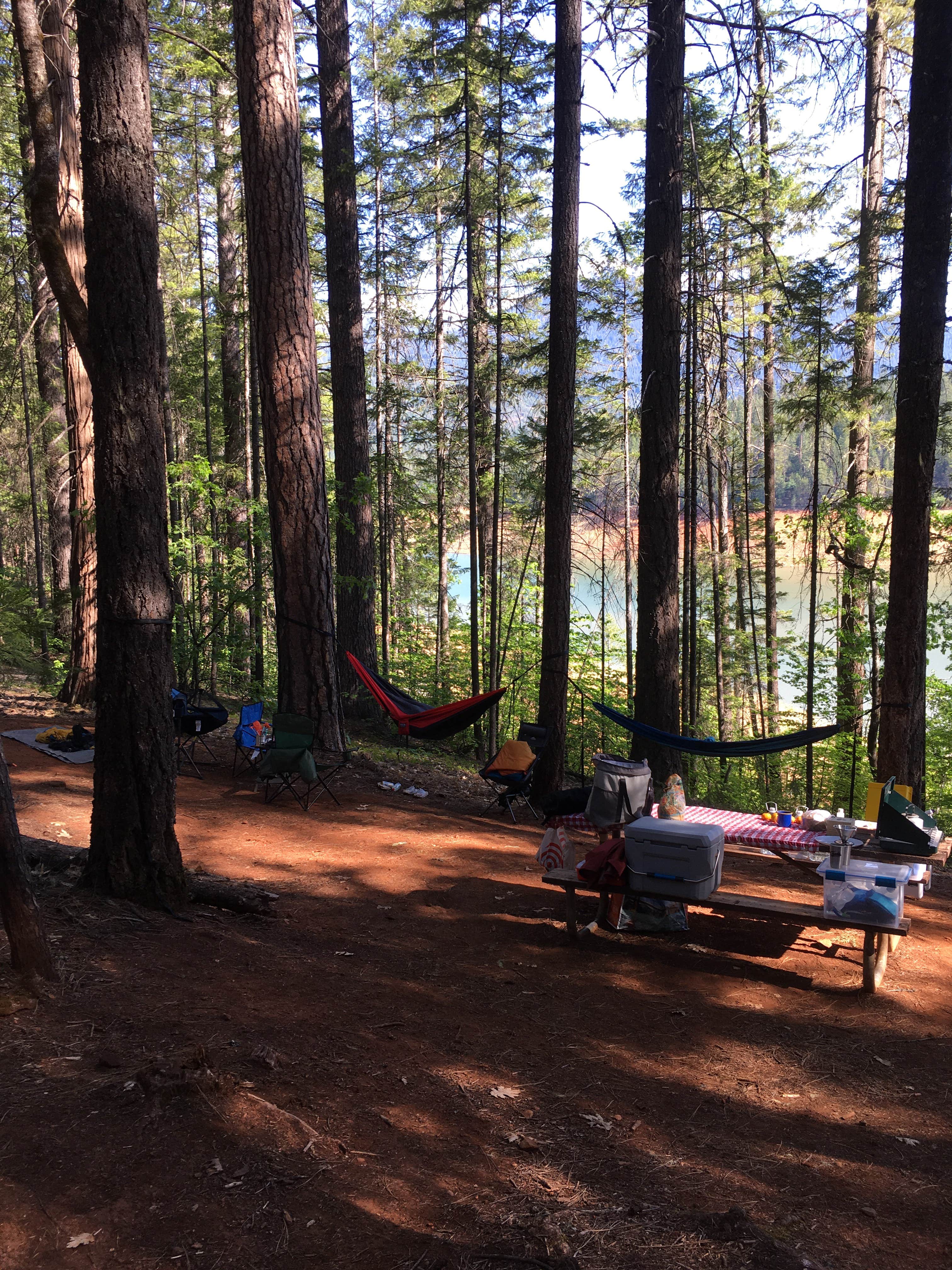 Camper-submitted photo at Tannery Gulch Campground near Trinity Center, CA