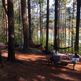 Review photo of Tannery Gulch Campground by Dan G., June 4, 2023