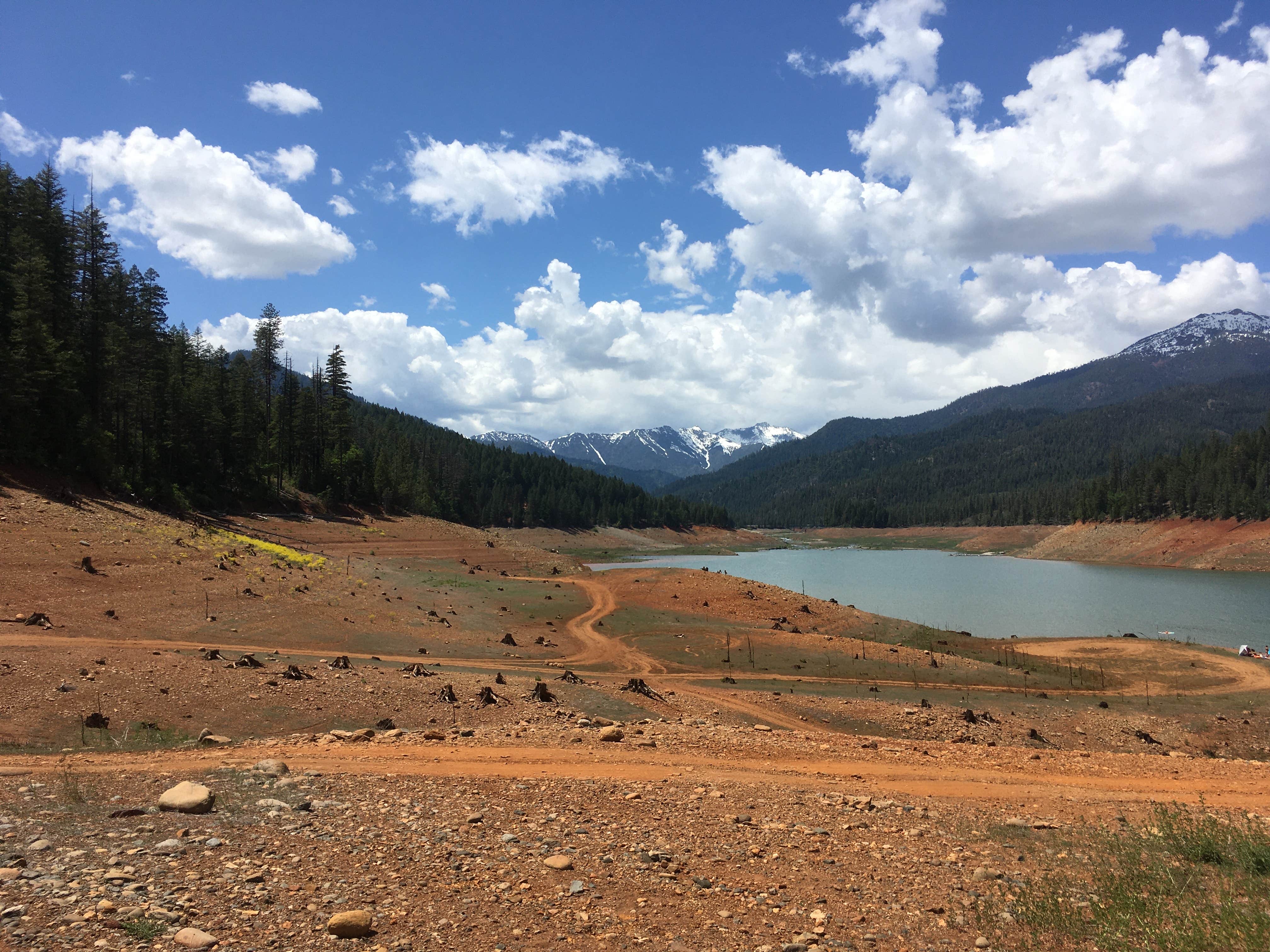 Camper submitted image from Tannery Gulch Campground - 5