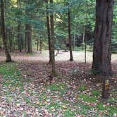 Review photo of White Mountain National Forest Wildwood Campground by Jean C., October 15, 2018