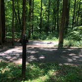 Review photo of Owens Creek Campground — Catoctin Mountain Park by Roger W., June 2, 2023