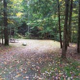 Review photo of White Mountain National Forest Wildwood Campground by Jean C., October 15, 2018