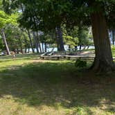 Review photo of Scenic State Park Campground by Casey J., June 4, 2023