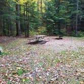Review photo of White Mountain National Forest Wildwood Campground by Jean C., October 15, 2018