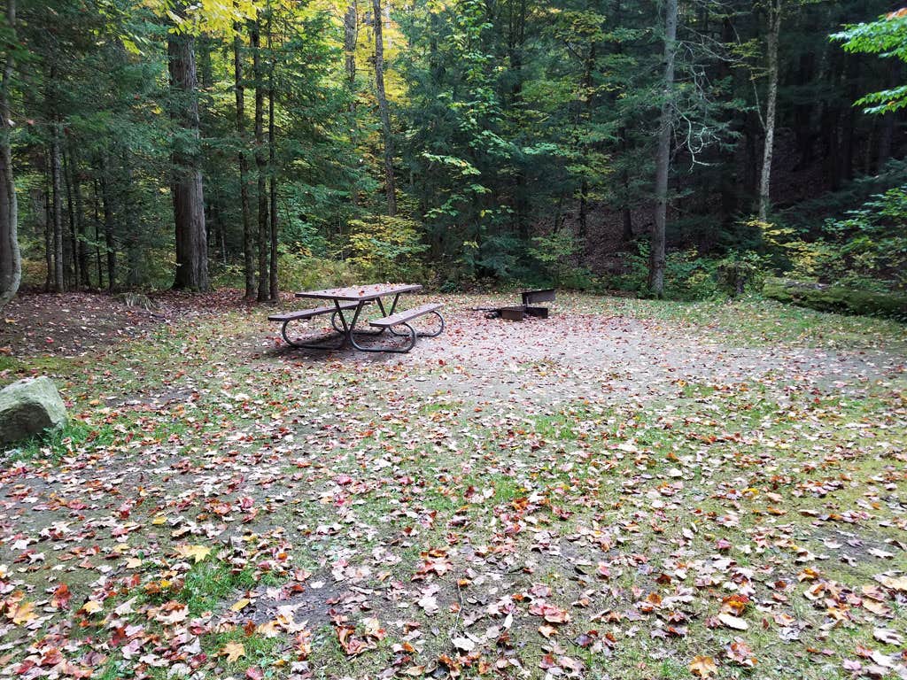 Wildwood Camping The Dyrt