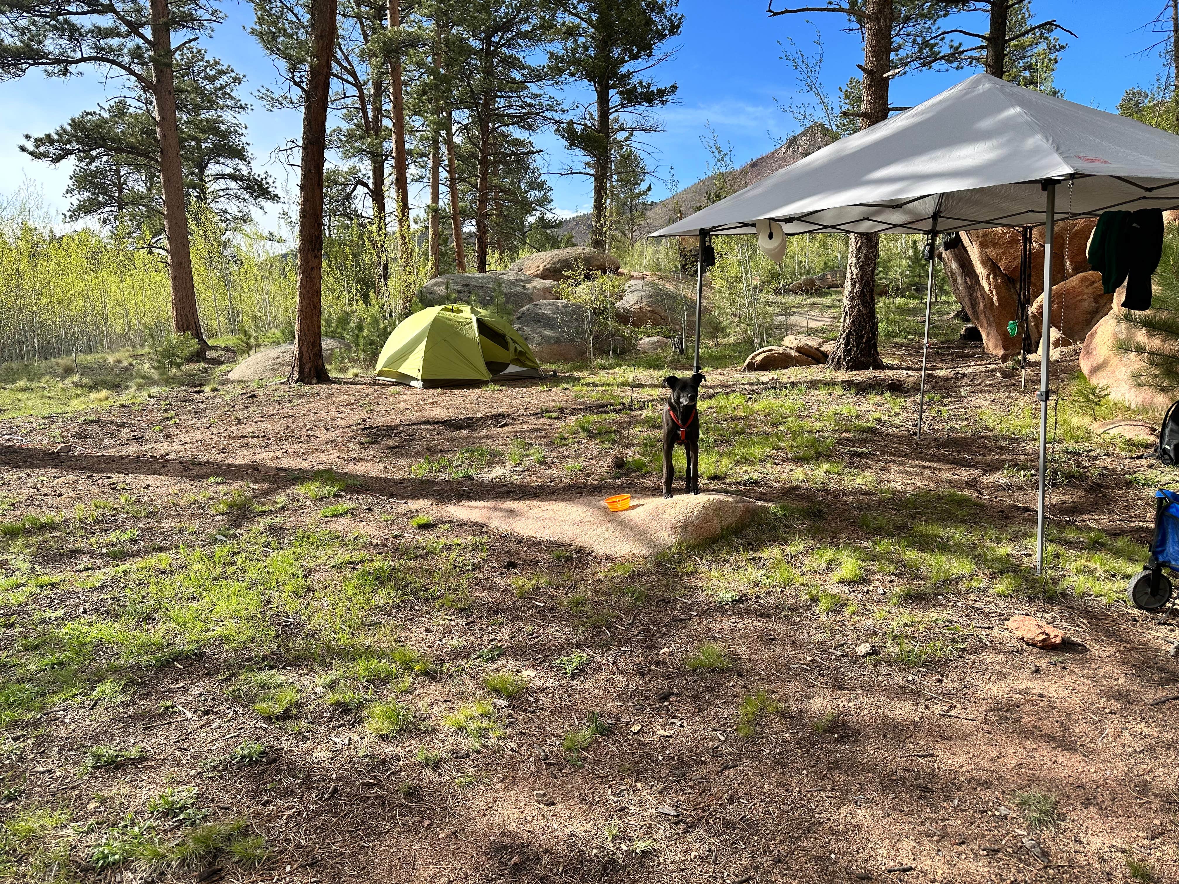 Camper-submitted photo at Matukat Road Dispersed Camping near Buffalo Creek, CO
