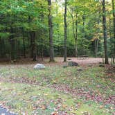 Review photo of White Mountain National Forest Wildwood Campground by Jean C., October 15, 2018