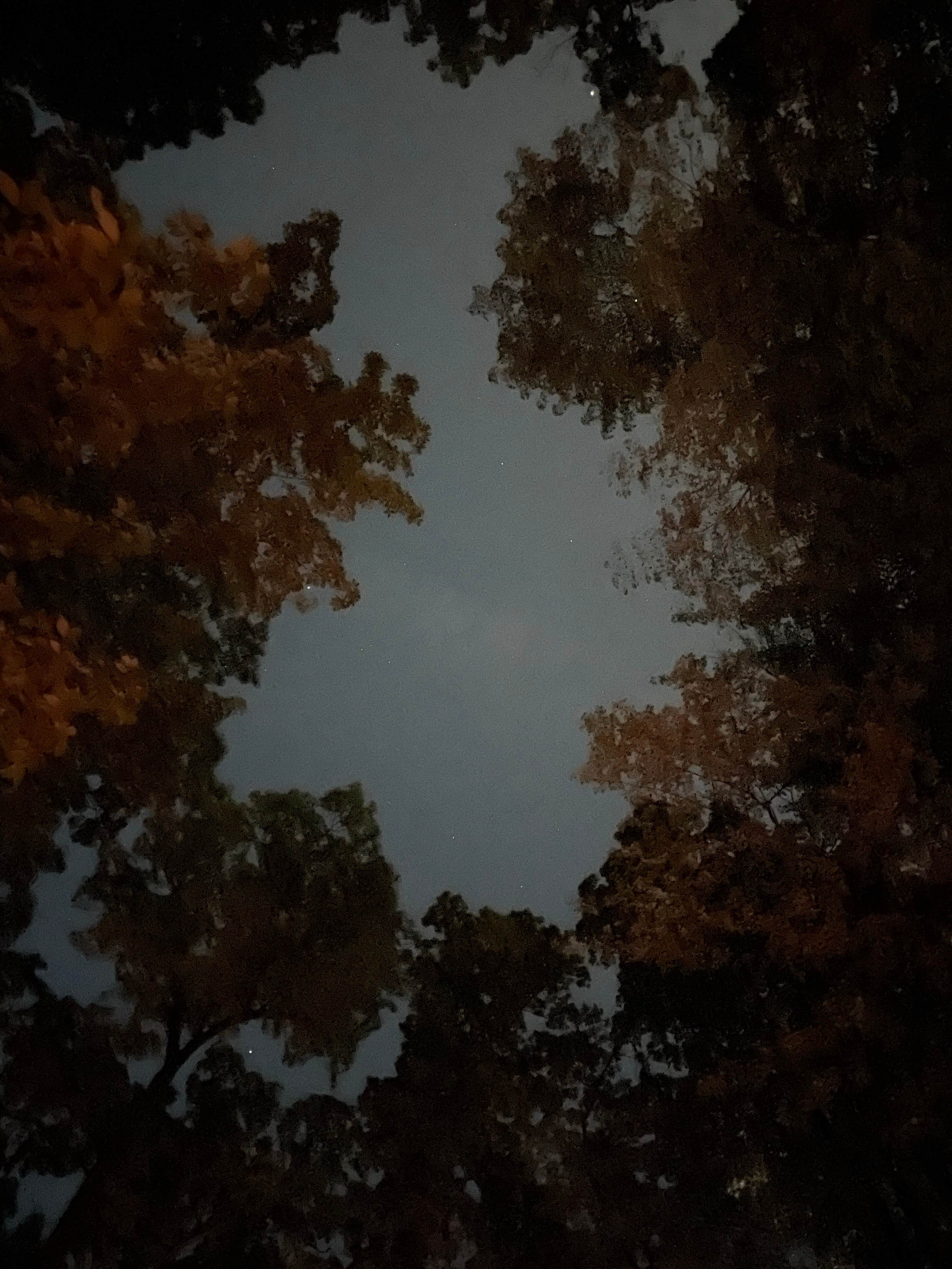 Camper-submitted photo at Twin Pines Campground & Canoe Livery near Albion, MI