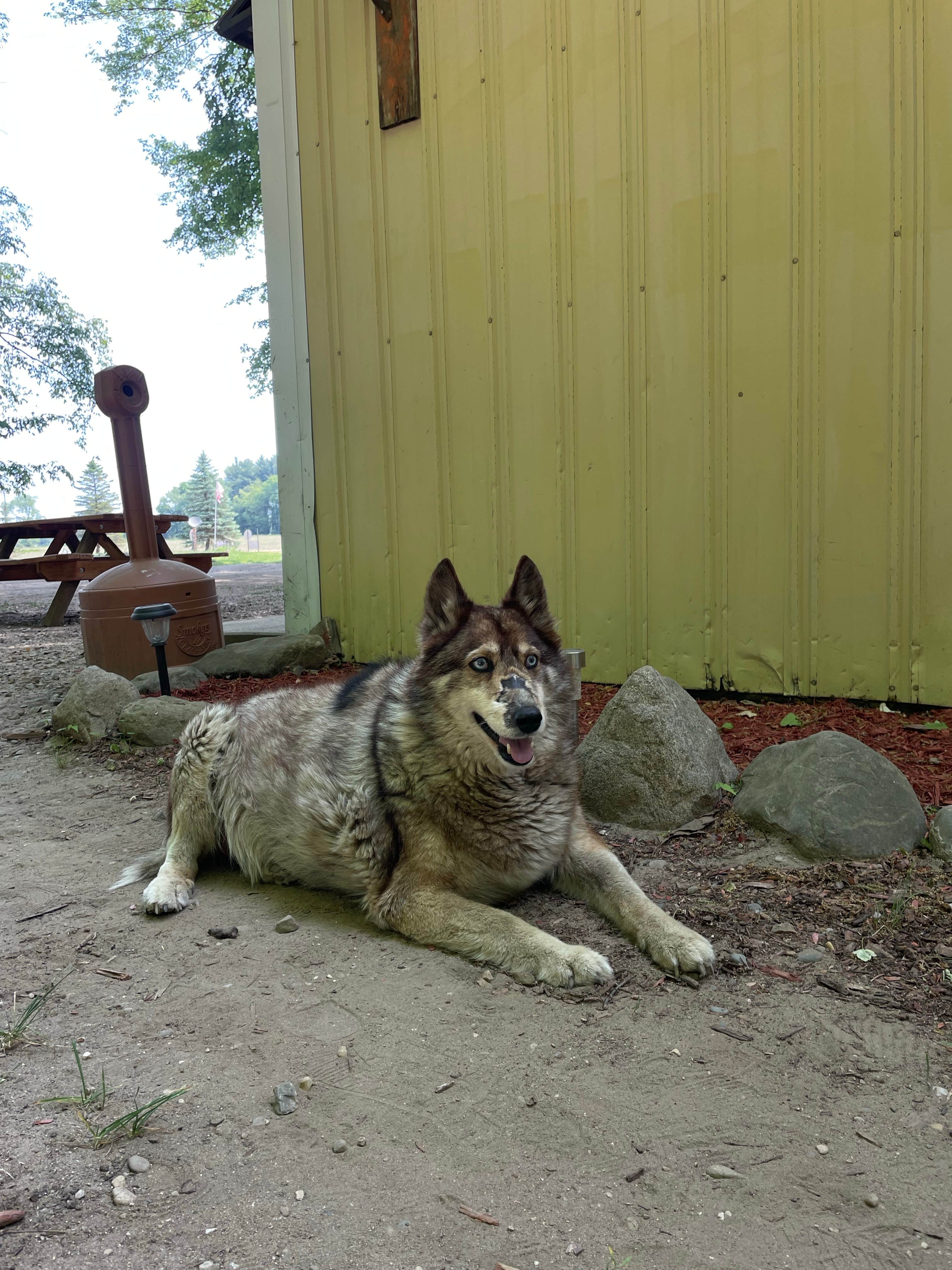 Camper-submitted photo at Twin Pines Campground & Canoe Livery near Albion, MI