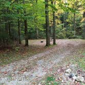 Review photo of White Mountain National Forest Wildwood Campground by Jean C., October 15, 2018