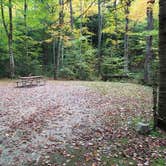 Review photo of White Mountain National Forest Wildwood Campground by Jean C., October 15, 2018