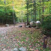 Review photo of White Mountain National Forest Wildwood Campground by Jean C., October 15, 2018