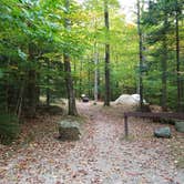 Review photo of White Mountain National Forest Wildwood Campground by Jean C., October 15, 2018