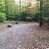 Review photo of White Mountain National Forest Wildwood Campground by Jean C., October 15, 2018