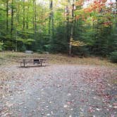 Review photo of White Mountain National Forest Wildwood Campground by Jean C., October 15, 2018