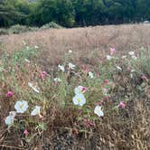 Review photo of Oak Grove Campground by Robert M., June 5, 2023