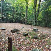 Review photo of White Mountain National Forest Wildwood Campground by Jean C., October 15, 2018