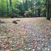 Review photo of White Mountain National Forest Wildwood Campground by Jean C., October 15, 2018