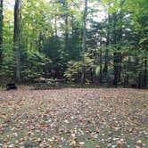 Review photo of White Mountain National Forest Wildwood Campground by Jean C., October 15, 2018