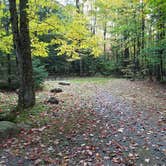 Review photo of White Mountain National Forest Wildwood Campground by Jean C., October 15, 2018