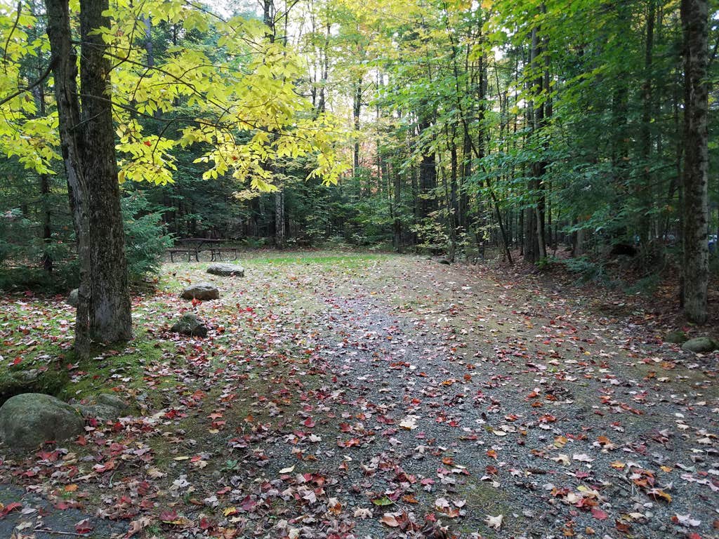 Camper submitted image from White Mountain National Forest Wildwood Campground - 4