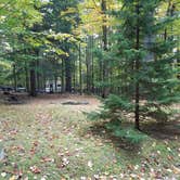 Review photo of White Mountain National Forest Wildwood Campground by Jean C., October 15, 2018