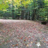 Review photo of White Mountain National Forest Wildwood Campground by Jean C., October 15, 2018