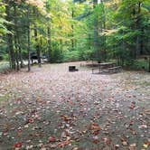 Review photo of White Mountain National Forest Wildwood Campground by Jean C., October 15, 2018