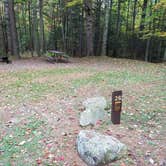 Review photo of White Mountain National Forest Wildwood Campground by Jean C., October 15, 2018