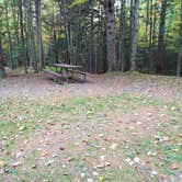 Review photo of White Mountain National Forest Wildwood Campground by Jean C., October 15, 2018