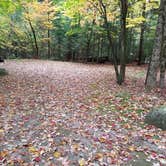 Review photo of White Mountain National Forest Wildwood Campground by Jean C., October 15, 2018