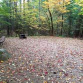 Review photo of White Mountain National Forest Wildwood Campground by Jean C., October 15, 2018