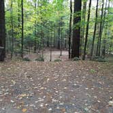 Review photo of White Mountain National Forest Wildwood Campground by Jean C., October 15, 2018