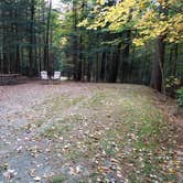 Review photo of White Mountain National Forest Wildwood Campground by Jean C., October 15, 2018