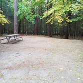 Review photo of White Mountain National Forest Wildwood Campground by Jean C., October 15, 2018