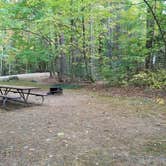 Review photo of White Mountain National Forest Wildwood Campground by Jean C., October 15, 2018