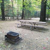 Review photo of White Mountain National Forest Wildwood Campground by Jean C., October 15, 2018